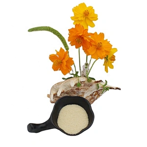 New Arrival Food Additive Gelatin Halal Edible Bovine Gelatin Powder
