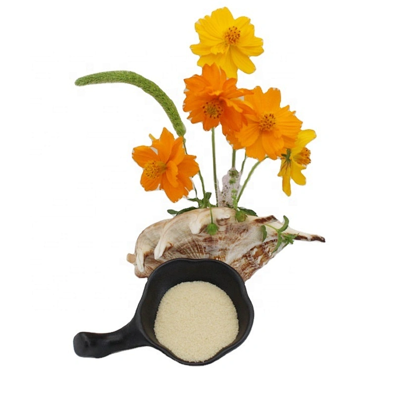 New Arrival Food Additive Gelatin Halal Edible Bovine Gelatin Powder